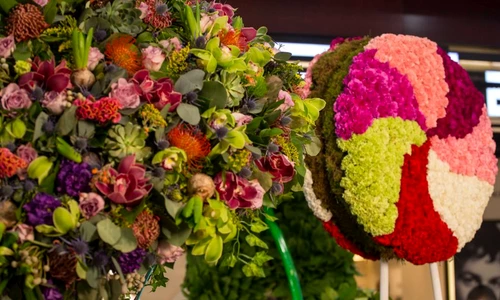 1 74250 original jpg jpeg