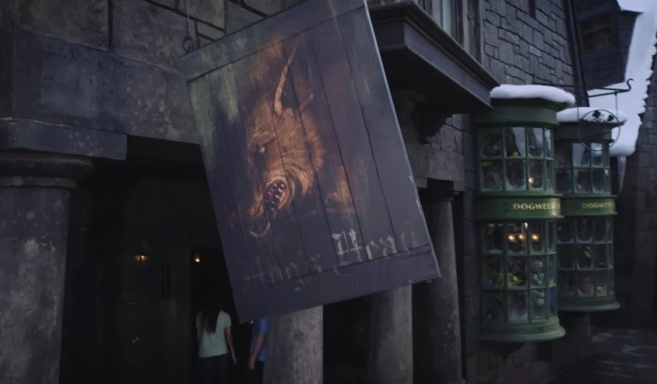 harry potter