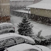 ninsori in suceava jpg