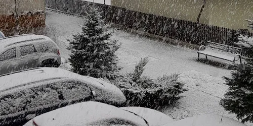 ninsori in suceava jpg