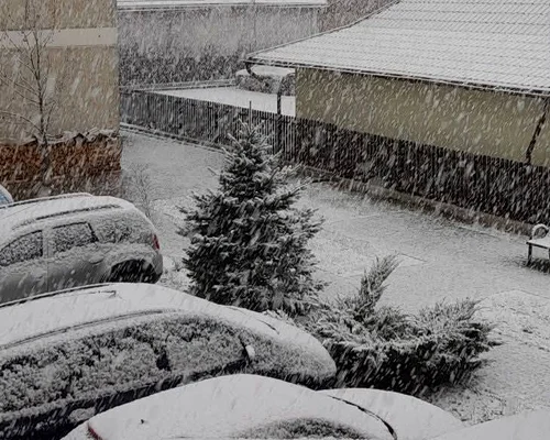 ninsori in suceava jpg