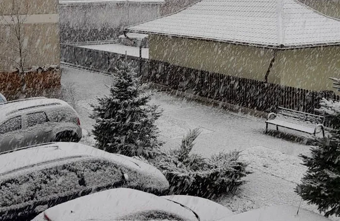 Nordul Moldovei a fost surprins de ninsori FOTO: Facebook/ Meteoplus