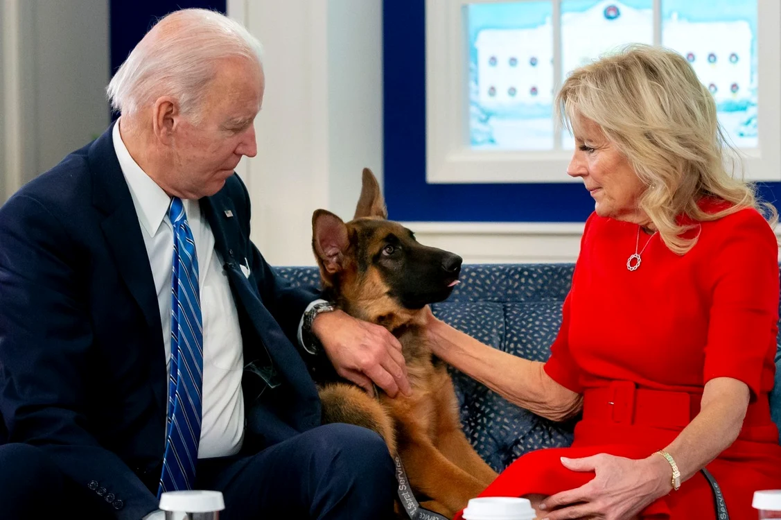 1 cainele lui joe biden de la casa alba cionbanesc german commander 7 jpg jpeg