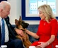 Commander, câinele ciobănesc adoptat de soții Biden în 2012. FOTO: Casa Albă