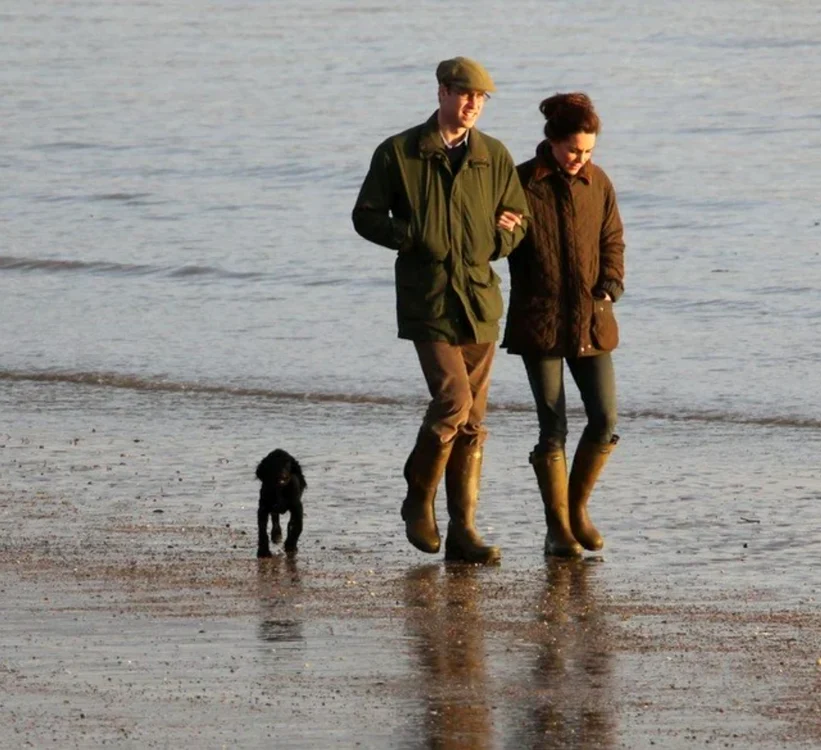 William, Kate, Lupo la mare png