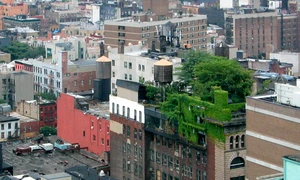 Mai mult verde? jpeg