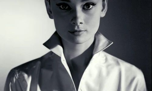screenshot 2021 01 21 audrey hepburn png
