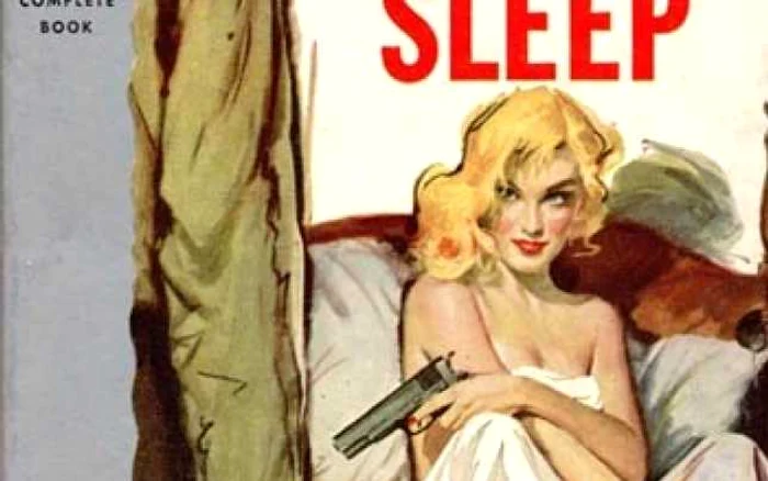 Imaginea care ilustrează romanul „The Big Sleep“, de Raymond Chandler (1939) FOTO theshortlist.com