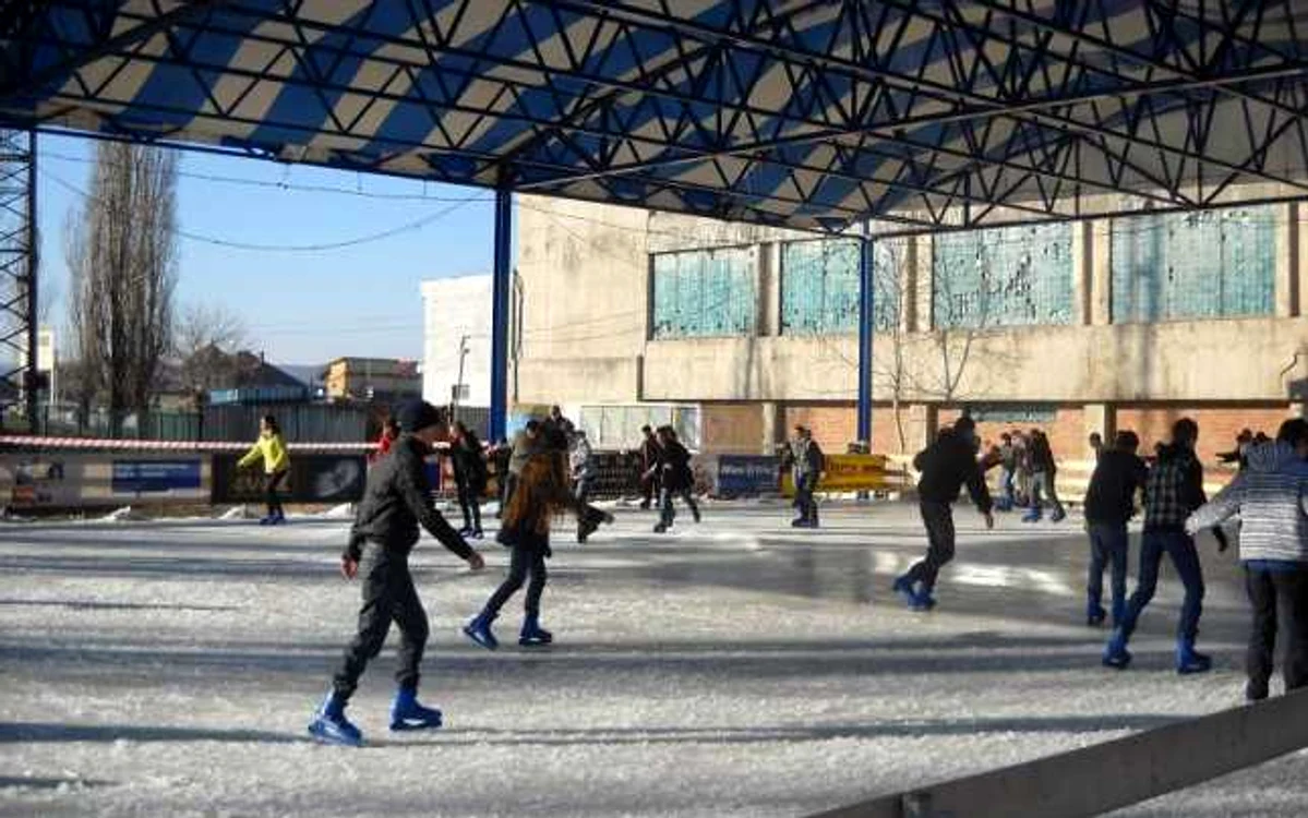 Patinoar Severin