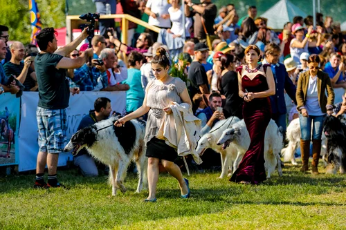 2 karpathia horse show 2018 1 jpg jpeg