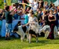 2 karpathia horse show 2018 1 jpg jpeg