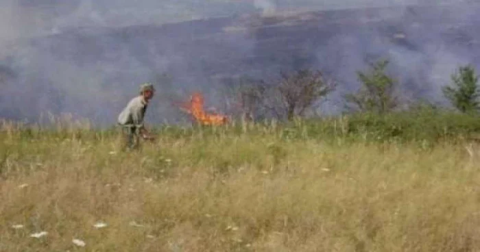 În Moldova au avut loc peste 60 de intervenții în incendii de vegetații