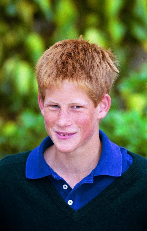 Prinţul Harry, la vârsta de 16 ani 