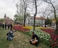 Lalele în Parcul Justiției FOTO Ștefan Both