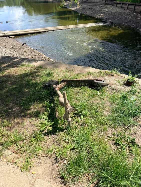 Lacul Herăstrău a devenit  cimitirul trotinetelor