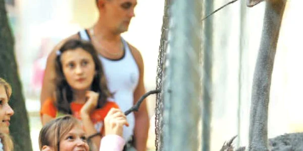 Judeţ cu judeţ: Aproape 2.000 de angajaţi din judeţul Timiş vor fi concediaţi până la sfârşitul anului