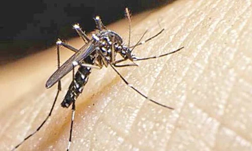 9 act virusul zika 0 jpeg