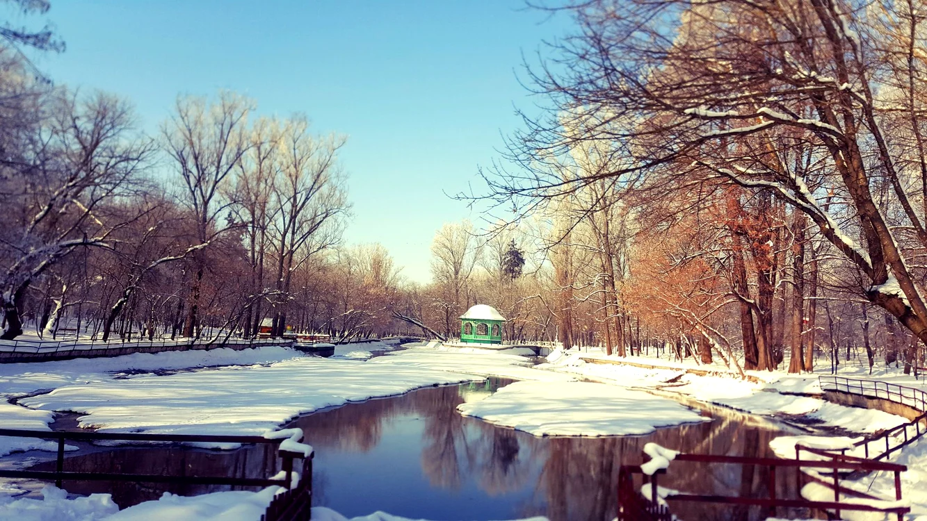 Parcul „Constantin Poroineanu”, unul dintre cele mai frumoase din țară FOTO: cniptcaracal.ro