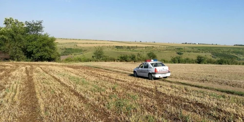 Câmpul plin de dejecţii şi resturi de cadavre putrezite de pui FOTO Doru Geru