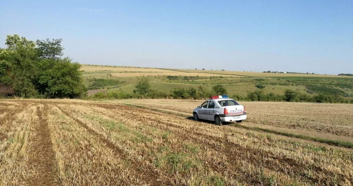 Câmpul plin de dejecţii şi resturi de cadavre putrezite de pui FOTO Doru Geru