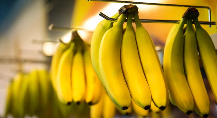 Gigntul bananier Chiquita, responsabil pentru finanțarea unui grup terorist FOTO: ARHIV