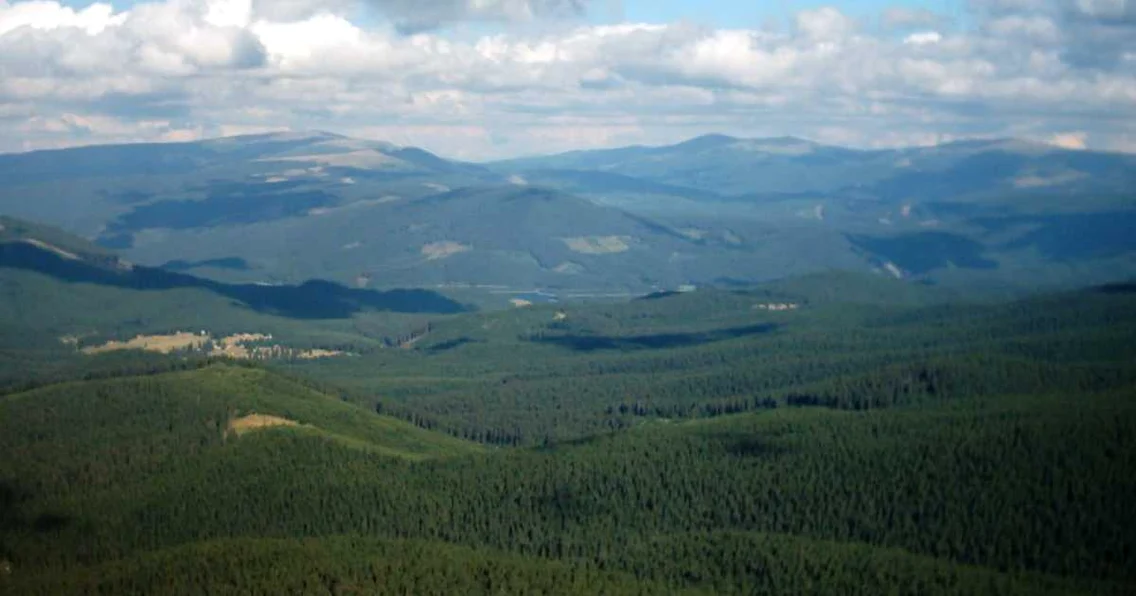 sureanu alba