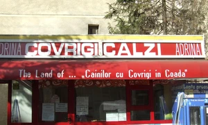 Cu ochii n 3,14 jpeg