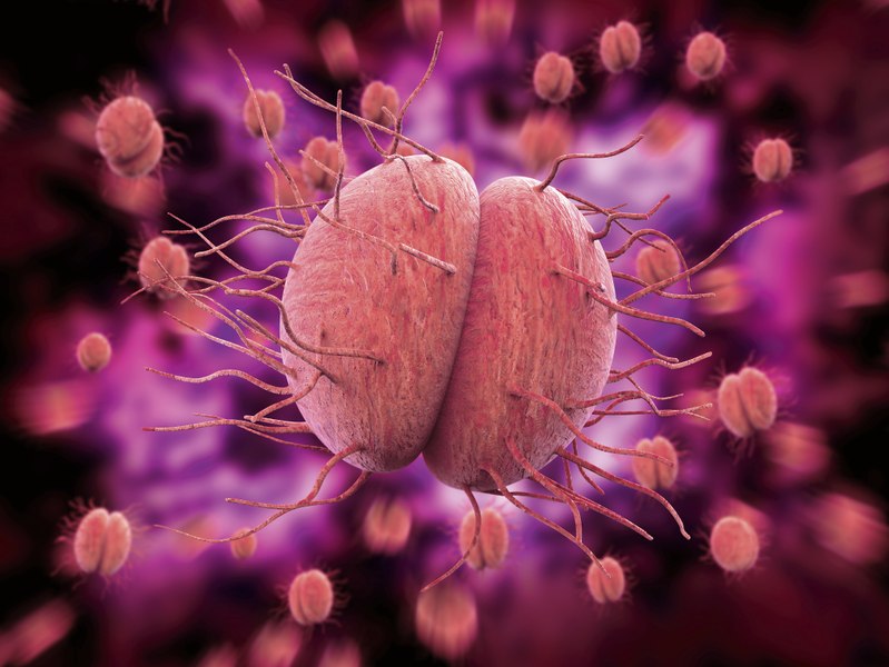 Bacteria care transmite o boală sexuală ar putea deveni de netratat în viitor. „Va fi mai rezistentă la medicamente”