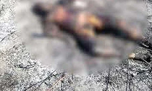 Locul unde a fost descoperită tânăra este unul ferit, aşa că pot trece zile întregi până când cineva să descopere un cadavru jpeg