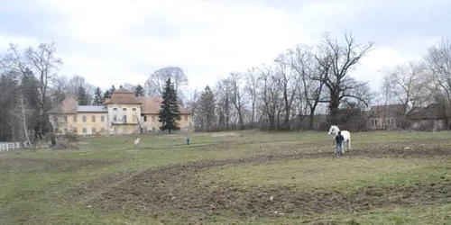 5ac86404df52022f7585b13a jpg