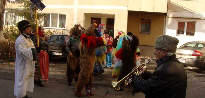 Urşii din Moineşti-Bacău au colindat prin cartierele Râmnicului