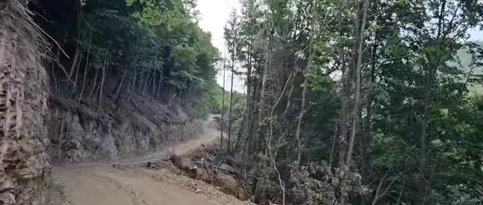 Boița, localitatea cel mai mult afectată de defrișările pentru noua autostradă pe Valea Oltului 