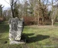 Parcul Dendrologic din Simeria Foto Daniel Guță ADEVĂRUL (42) JPG