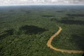Jungla Amazon FOTO AP 