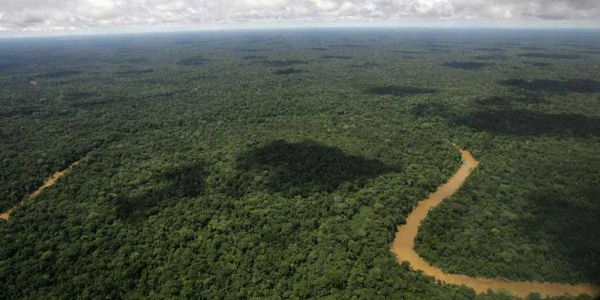 Jungla Amazon FOTO AP 