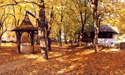 Târgul de Sfântul Dumitru jpeg