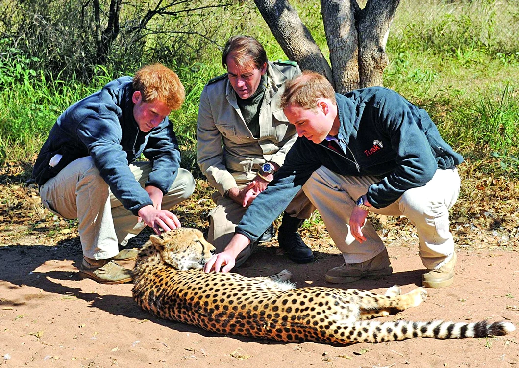 Prinţii de Wales au avut  curajul să se apropie chiar  şi de un leopard