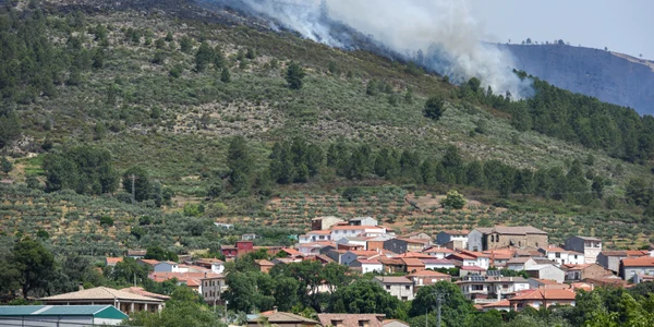 Incendiu de vegetatie in Spania FOTO Profimedia jpg