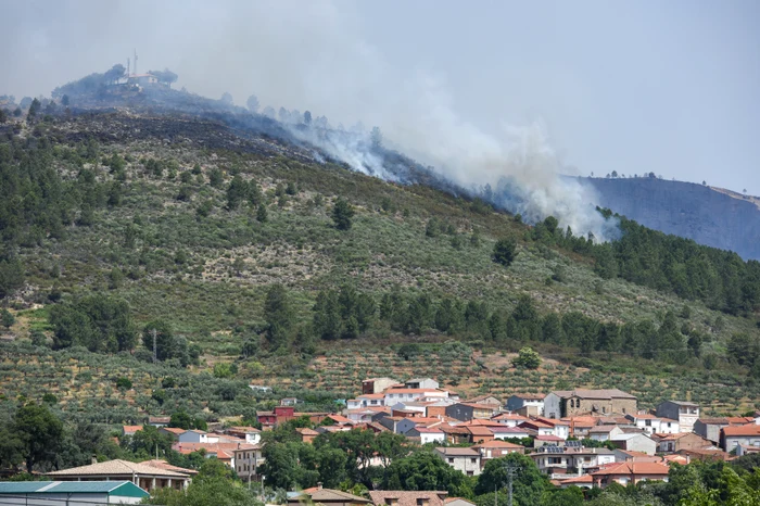 Incendiu forestier în Spania  FOTO  Profimedia