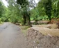 Inundatii pe Valea Zlastiului din Hunedoara Foto Daniel Guță ADEVĂRUL (25) jpg