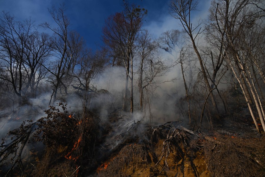Incendii de proporții în SUA: stare de urgență în Carolina de Sud