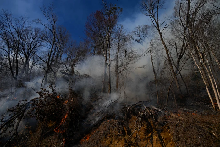 Incendii devastatoare în SUA. FOTO Profimedia
