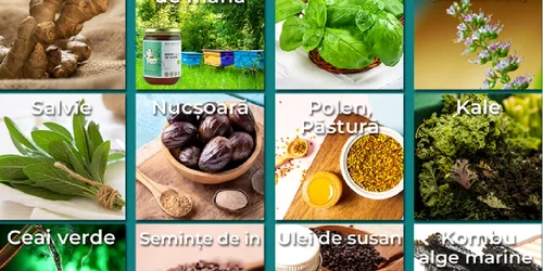 Alimente cu rol puternic antiinflamator Sursa Republica Bio