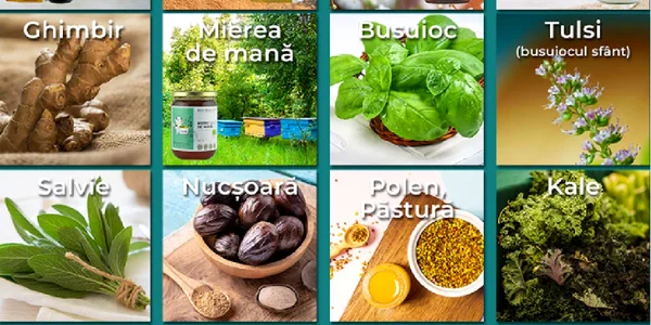 Alimente cu rol puternic antiinflamator Sursa Republica Bio