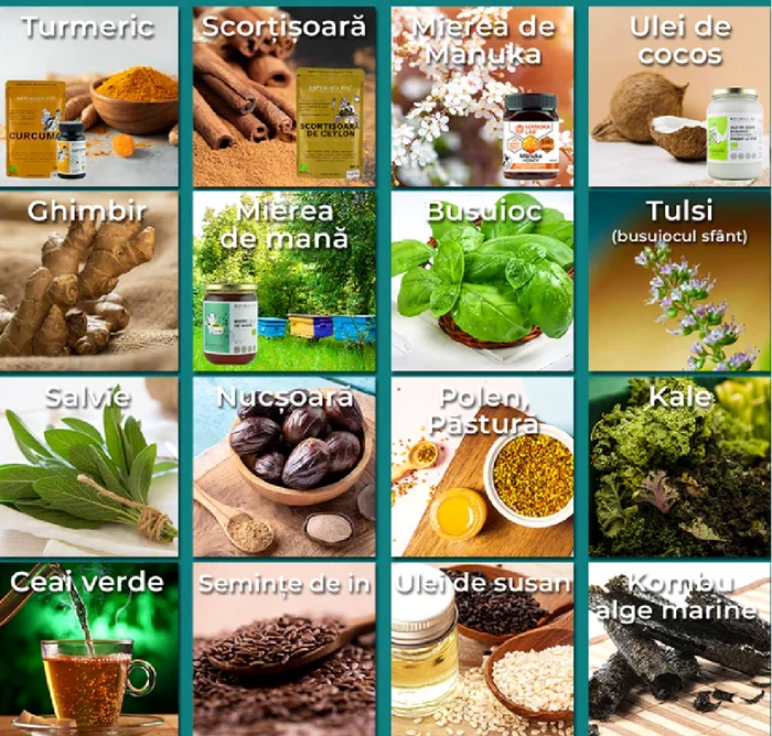 Alimente cu rol puternic antiinflamator Sursa Republica Bio