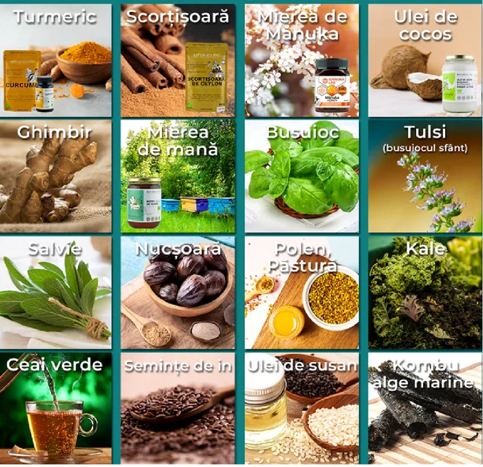 Colaj de condimente și alte alimente cu rol antiinflamator și anticancerigen Foto Republica Bio