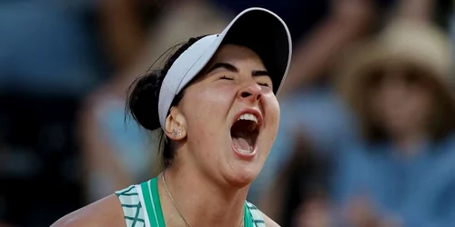 andreescu platformax jpg