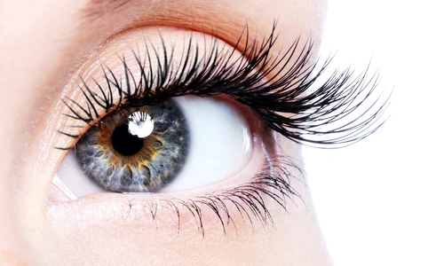 1 84907 original jpg jpeg