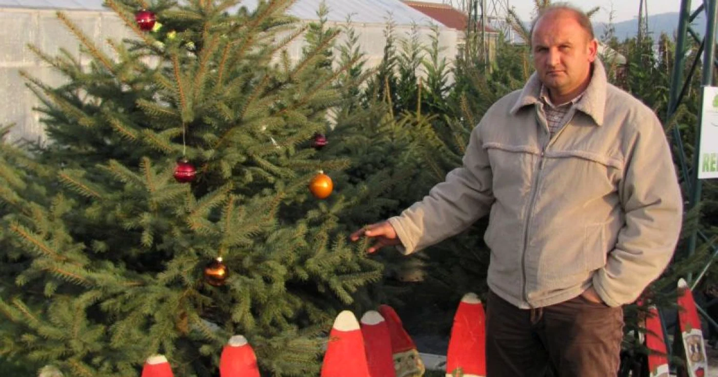 Florin Mărginean închiriază brazi pentru sărbătorile de iarnă. 