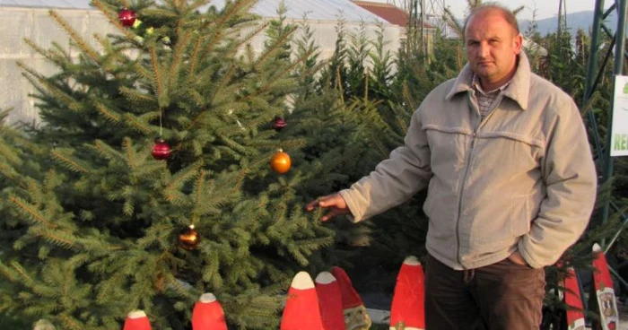 Florin Mărginean închiriază brazi pentru sărbătorile de iarnă.